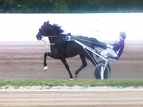 Trotto 29/04/2019 - 3ª corsa