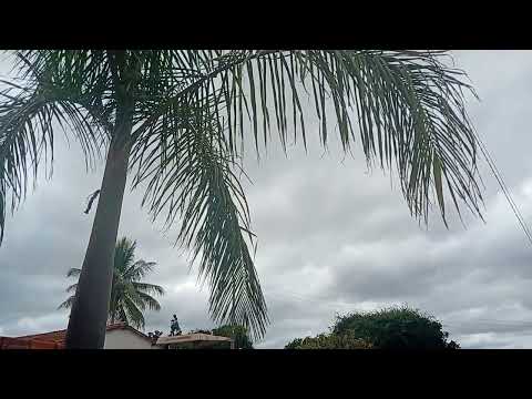 Fazenda maravilha.indaiabira mg