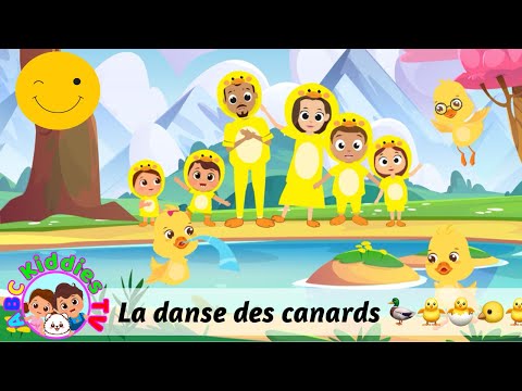 La danse des canards | ABC Kiddies TV en Français | Chansons pour bébés