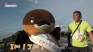 2024/12/11放送・知ったかぶりカイツブリにゅーす