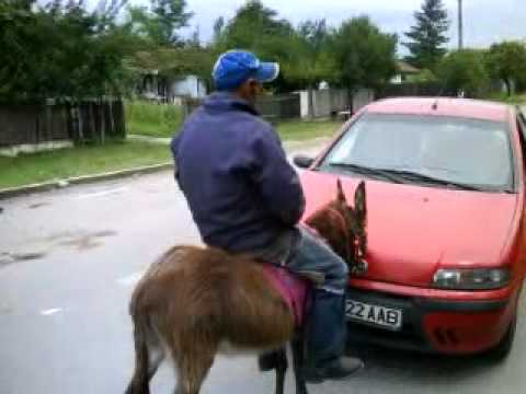 TAXI DRIVE  [Gat] Catunu.MP4