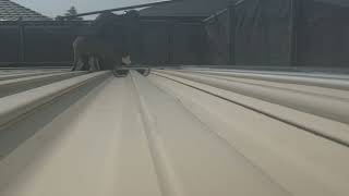 動画サムネイル