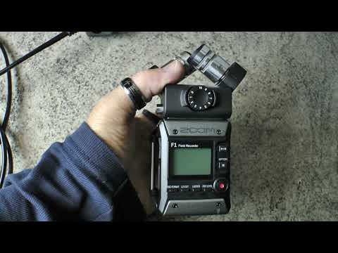 Steve Strauss - Just Like Love