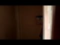 Niyati Joshi Saree Removing Hot