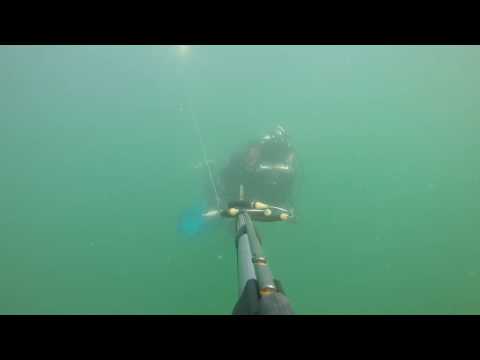 The "doc" aka corey at sandwich town beach