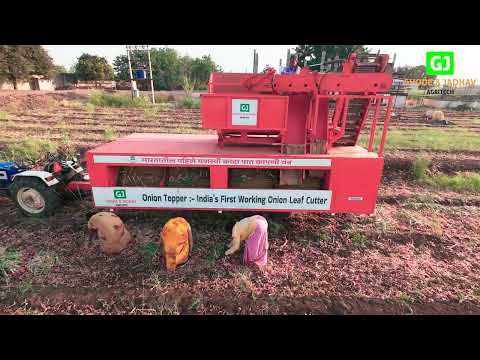 Onion Topper — Field Demo