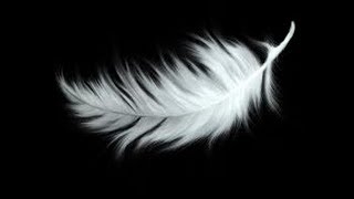 Dave Koz & Herb Alpert - This Guy's in Love With You