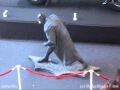 Batman On The Run 