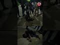 ബംഗാളിയുടെ അഴിഞ്ഞാട്ടത്തെ തളച്ച് വന�