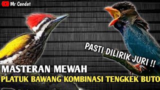 Download lagu MASTERAN MEWAH || PLATUK BAWANG KOMBINASI TENGKEK BUTO || PASTI DILIRIK JURI !! mp3