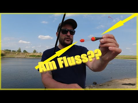 River fishing with live bait, float and bottom rig in summer for eel, zander, pike and catfish #Elbe