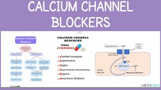 Calcium Channel Blockers (CCB) Pharmacology Simplified