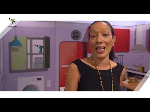 Espace Sud Martinique : Un engagement pour la qualité de l'air