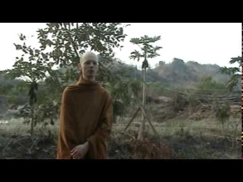 Ven. Gavesako - BuddhaMetta Project (English)