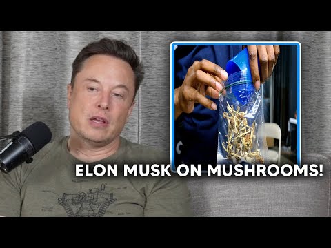 Elon Musk On Taking Mushrooms!