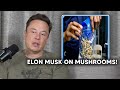 Elon Musk On Taking Mushrooms