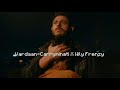 Vardaan Carryminati X Wily Frenzy Slowed Reverb