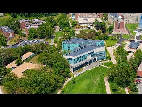 Brandeis University - video