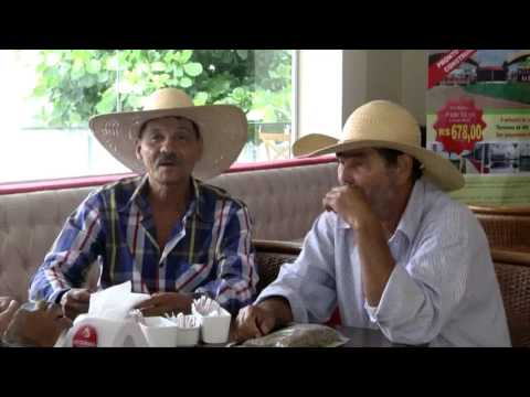 Jornal da Amazônia | Rondônia é o 5º maior produtor de café do país