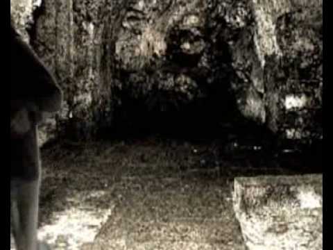 Projekt-X - Saxana (Dexempo Šunkoflex)