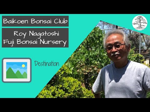 Roy Nagatoshi - Fuji Bonsai Nursery - Destination - Baikoen Bonsai Club - Safer @ Home Bonsai Series