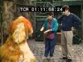 Classic Sesame Street Linda Brushes Barkley 1989