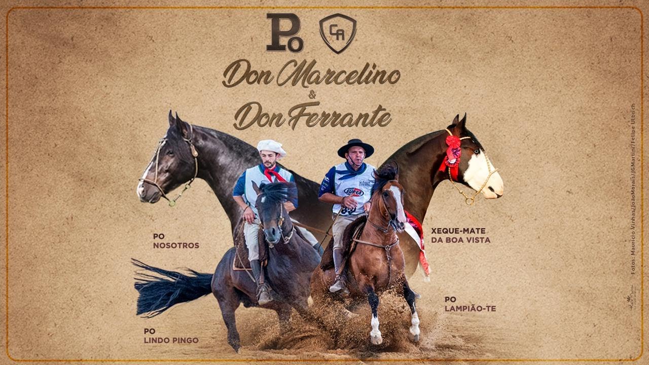 LEILÃO VIRTUAL DON MARCELINO & DON FERRANTE AO VIVO PROGRAMA CAVALOS