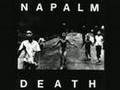 Napalm Death - Evolved as One