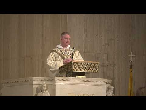 Homily During the Mass on the Patronal Feast of Saint Thomas Aquinas