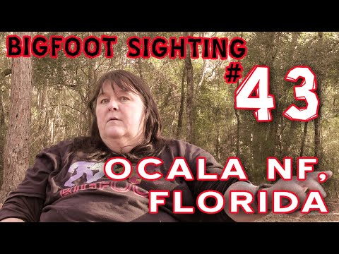 Bigfoot Campfire Story #43 (WITH VIDEO) - Ocala National Forest, Florida