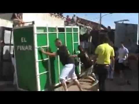 Toros Colonia Segarra 2015