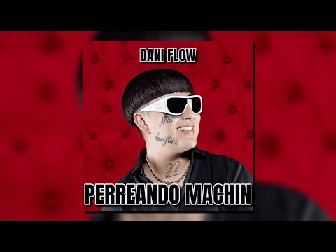 PERREANDO MACHIN - Dani Flow (Audio Oficial)