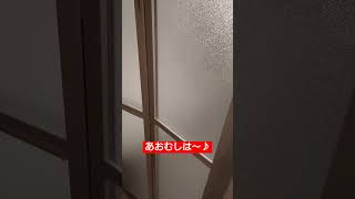 【オペラww】はらぺこあおむしの熱唱【嫁ちゃん】#shorts #可愛い #かわいい #嫁 #夫婦