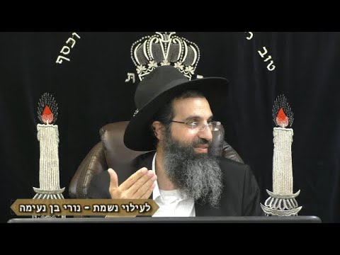 כמה מקום גורם 📡 הרב שי עובד | רביעי - פרשת נח - תשפג