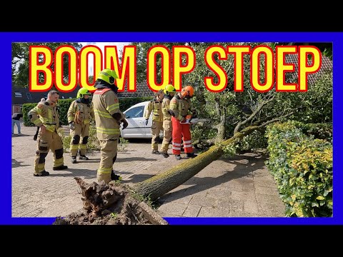Boom omgevallen - VOLUNTEERS DUTCH FIREFIGHTERS -