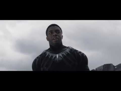 "The Living Are Not Done With You Yet" T'Challa and Helmut Zemo - Captain America: Civil War (2016)