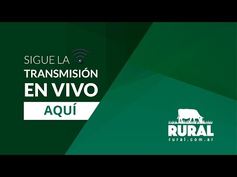 05/07/2019 - Estancia La Negra y La Juanita - Lartirigoyen y Oromi S.A.