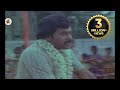 Nee Daari Poola Daari Song Maga Maharaju Movie Full Video Songs Chiranjeevi Suhasini Tulasi