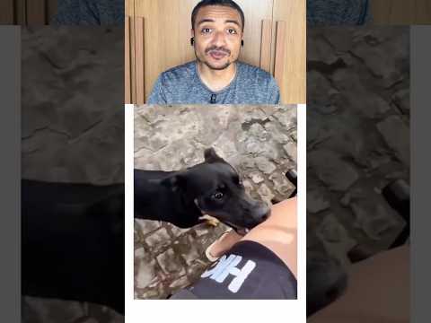 Aquela entrevista de emprego poderia mudar a vida dele #shorts