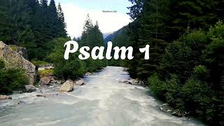 Psalm 1 — Blessed Is the One | Peaceful Scripture Reading for Meditation