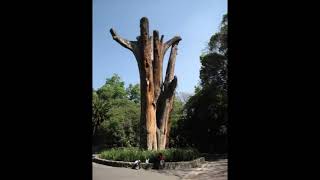 Las llaves de mi alma, con Ana Gabriel...