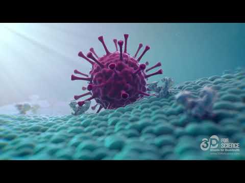Viral vector infects genetic material - 3D animation