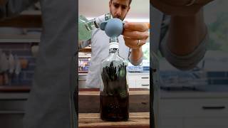 Download lagu Stop Buying Vanilla Extract… mp3