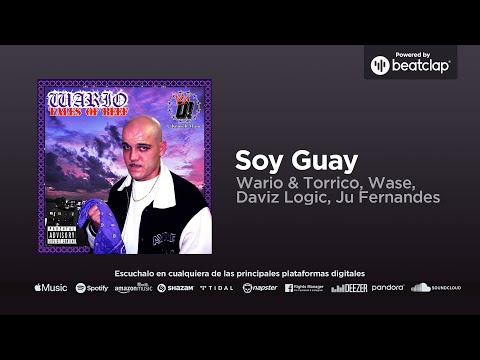 Wario & Torrico, Wase, Daviz Logic, Ju Fernandes - Soy Guay
