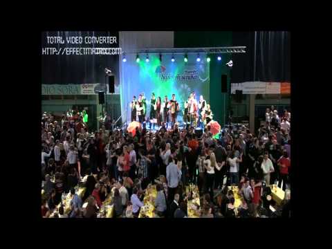 Ansambel Saša Avsenika in Modrijani