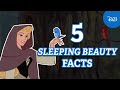 5 Dreamy Details You Need To Know About Sleeping Beauty