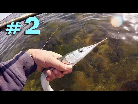 Näin kalastat meritaimenta rannalta | Gotlanti | Osa 2