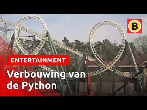 TIMELAPSE: zo gaat de VERBOUWING van de PYTHON