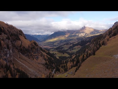 Spätherbstliche Naturaufnahmen vom Berner Oberland (Lauenen)