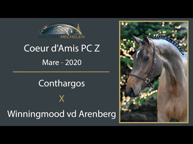 Coeur D' Amis Pc Z